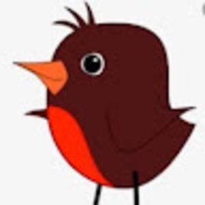 Meet your Posher, Robin